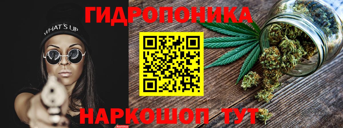 Каннабис VHQ  Вход с VPN  Конопля OG Kush  Лабытнанги  Бошки марихуана Bruce Banner  Марихуана White Widow 